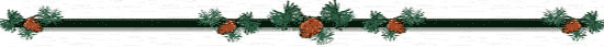 lake placid waterfront rentals, Upper Saranac Lake Real Estate, adirondack cabin rentals
