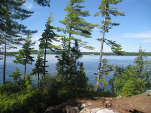 Enlarged view of image
